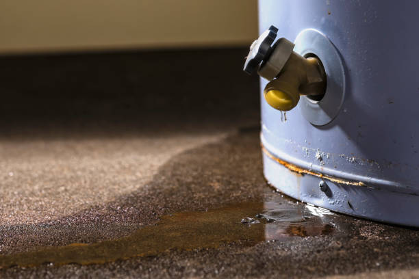 Best Professional water damage repair  in Lilburn, GA