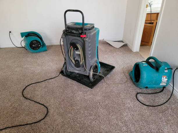Best Flooded house restoration  in Lilburn, GA
