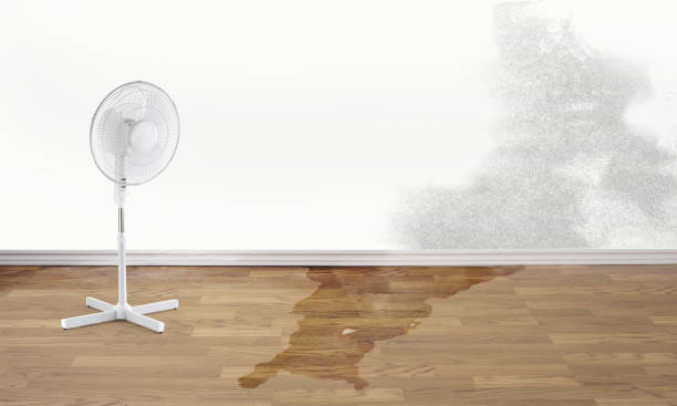 Best Ceiling water damage repair  in Lilburn, GA