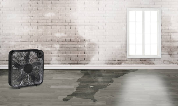 Best Emergency water damage restoration  in Lilburn, GA