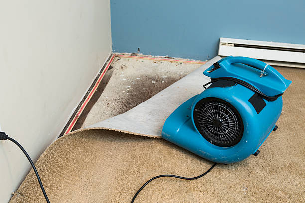 Best Water damage cleanup near me  in Lilburn, GA